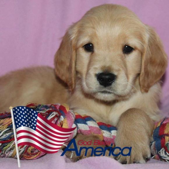 Meet your Posher, Deb - Picture 1 of 1